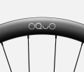 back-oquo-rp45team.jpg