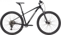 16160.webp